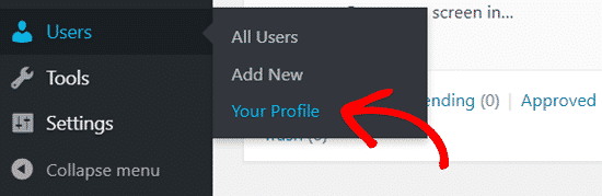 Cách thay đổi mật khẩu WordPress